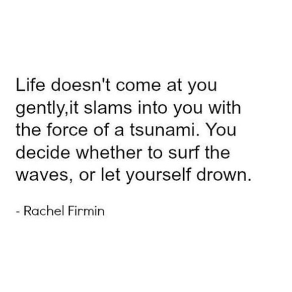 Like This Post To Be Notified Of New Listings - Picture 3 of 4